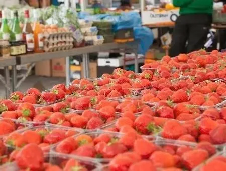 Apartment Sea View Luxury Centre - Location Galway